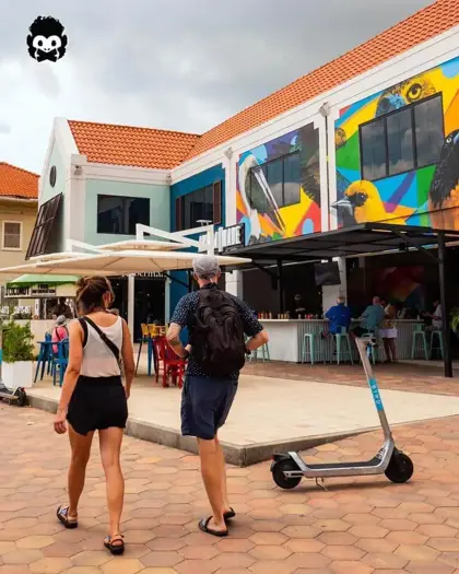 Aruba-made-local